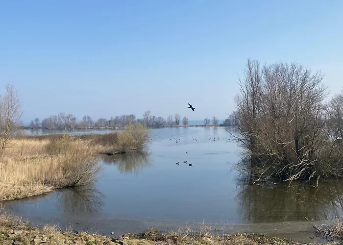 Haus Good Times By Interhome Wervershoof